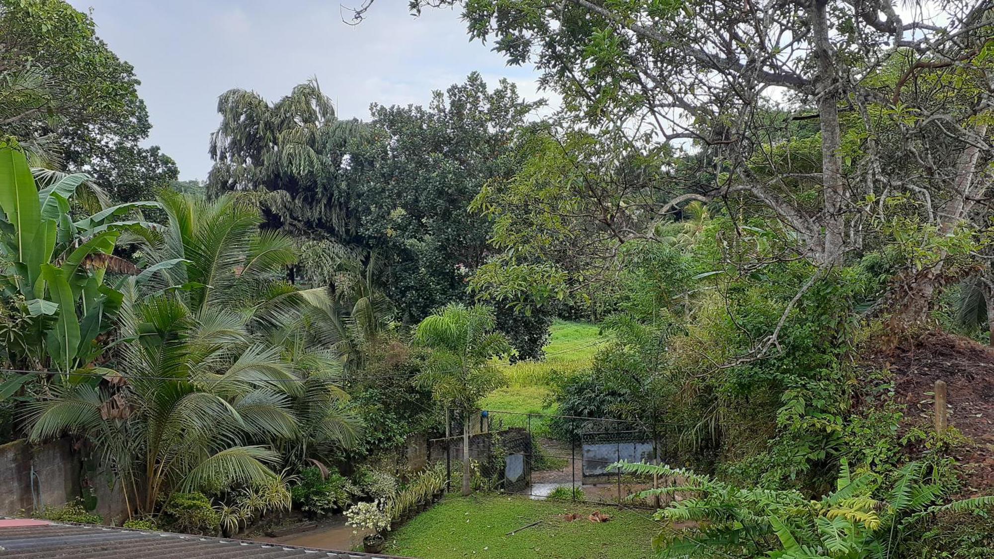 Jithu Homestay