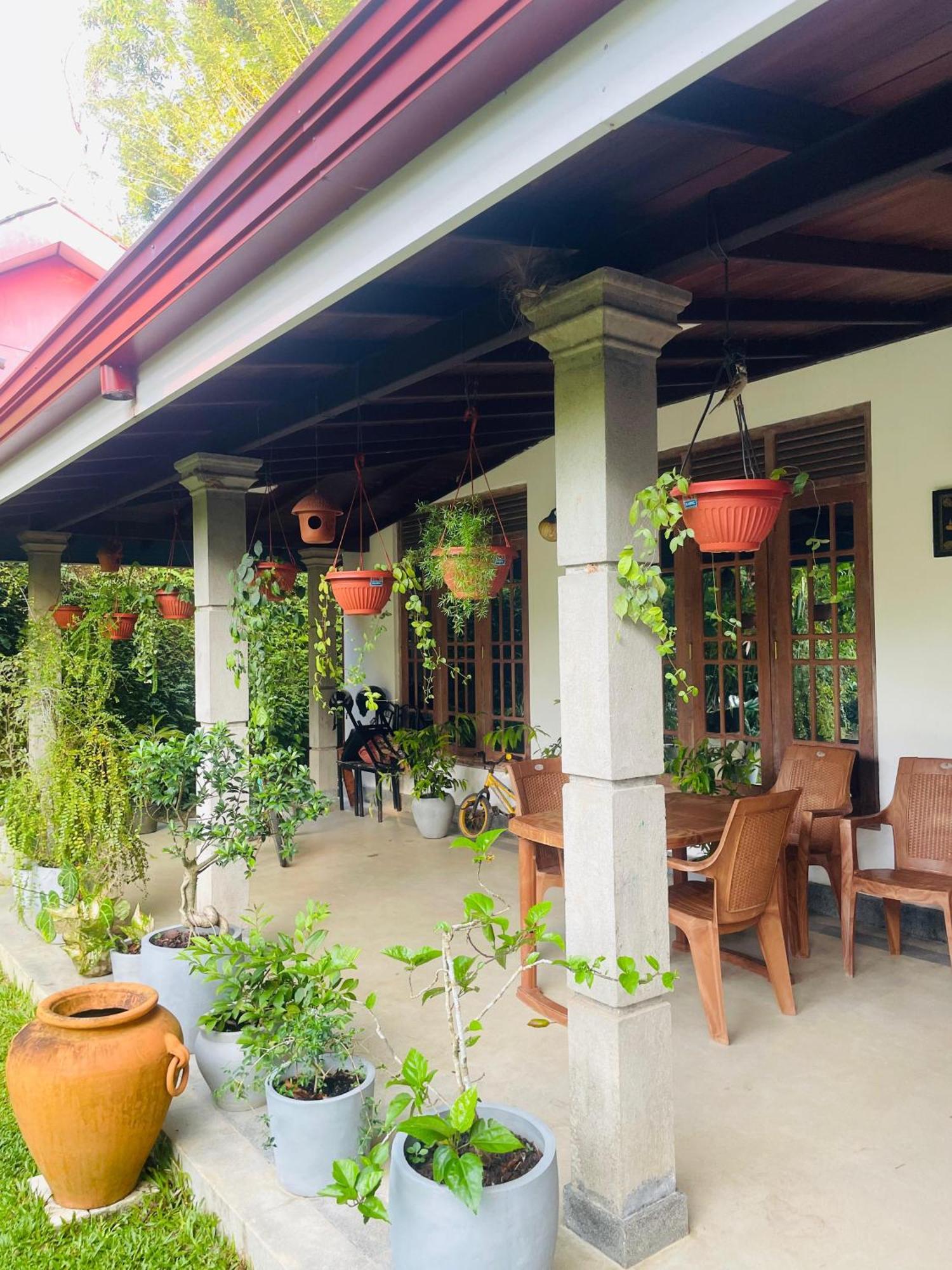 Homestay Jithu